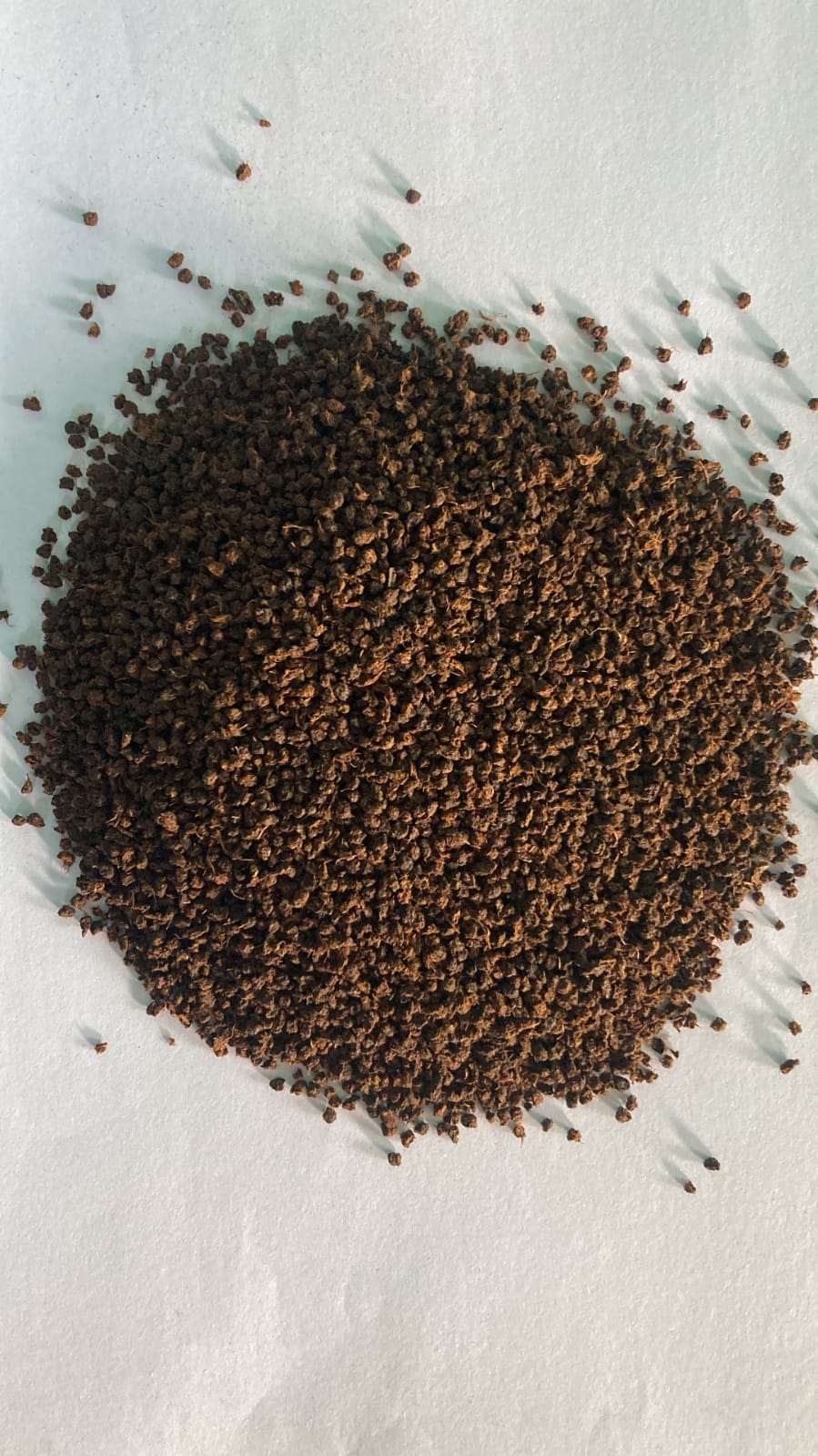 Black Tea Broken Pekoe (BP1)
